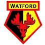 WATFORD MATCH PREVIEW